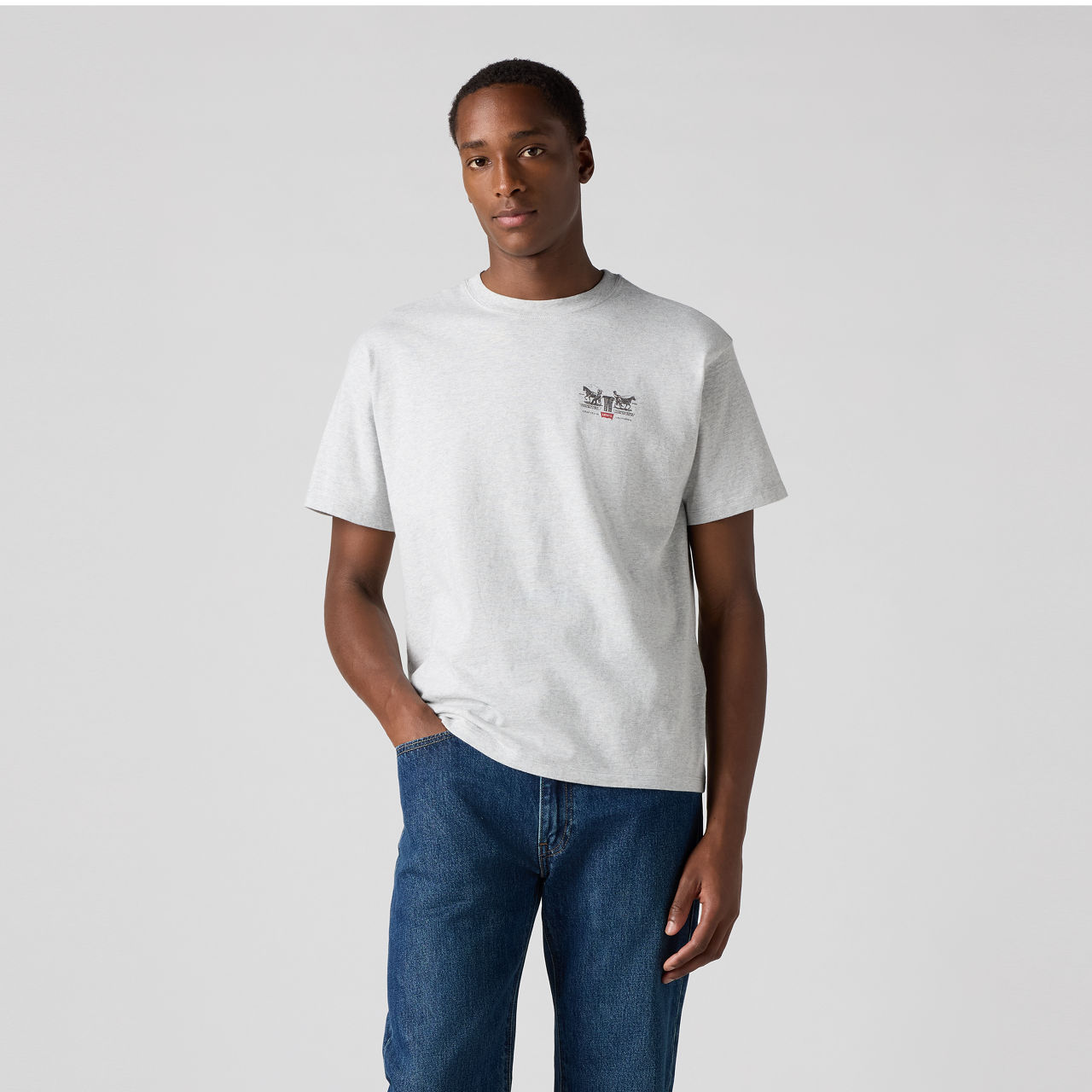 TAR photol Tシャツ L 43-14-206 Vintage Fit Graphic T-shirt - Grey | Levi's® US