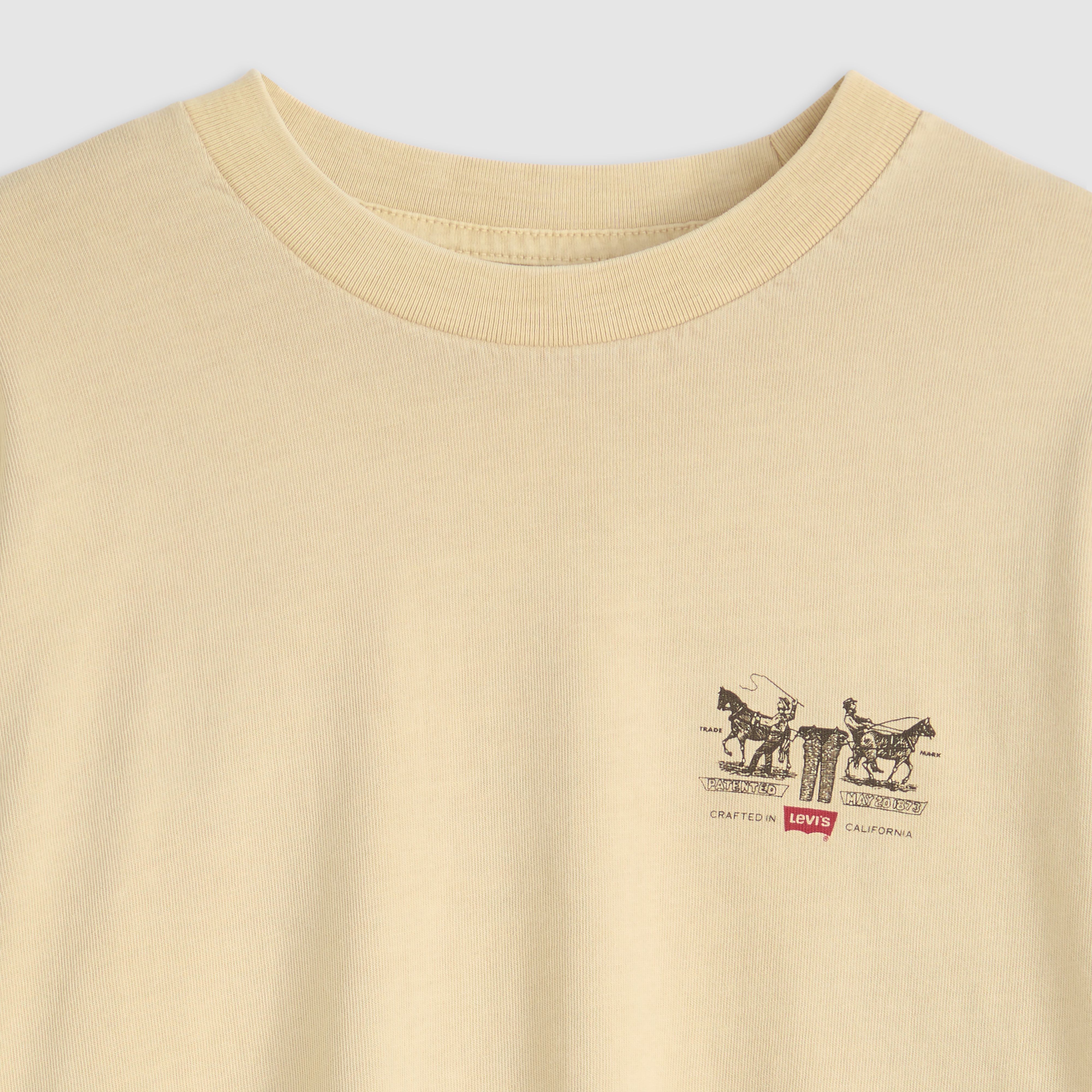 Long Sleeve Graphic Authentic Tee 6