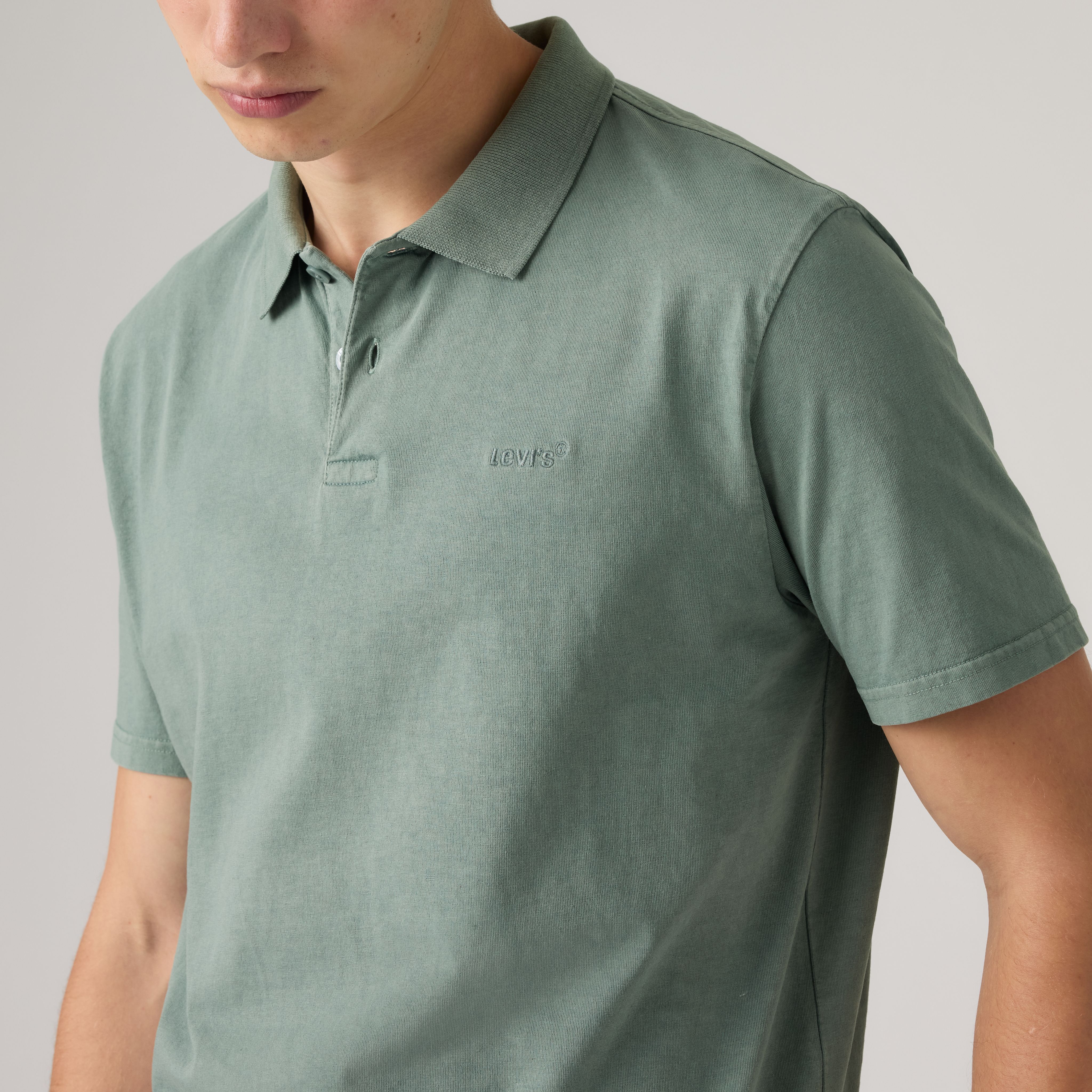 Authentic Polo 2