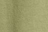 Bluish Olive - Green