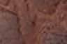 Phoebe Belt