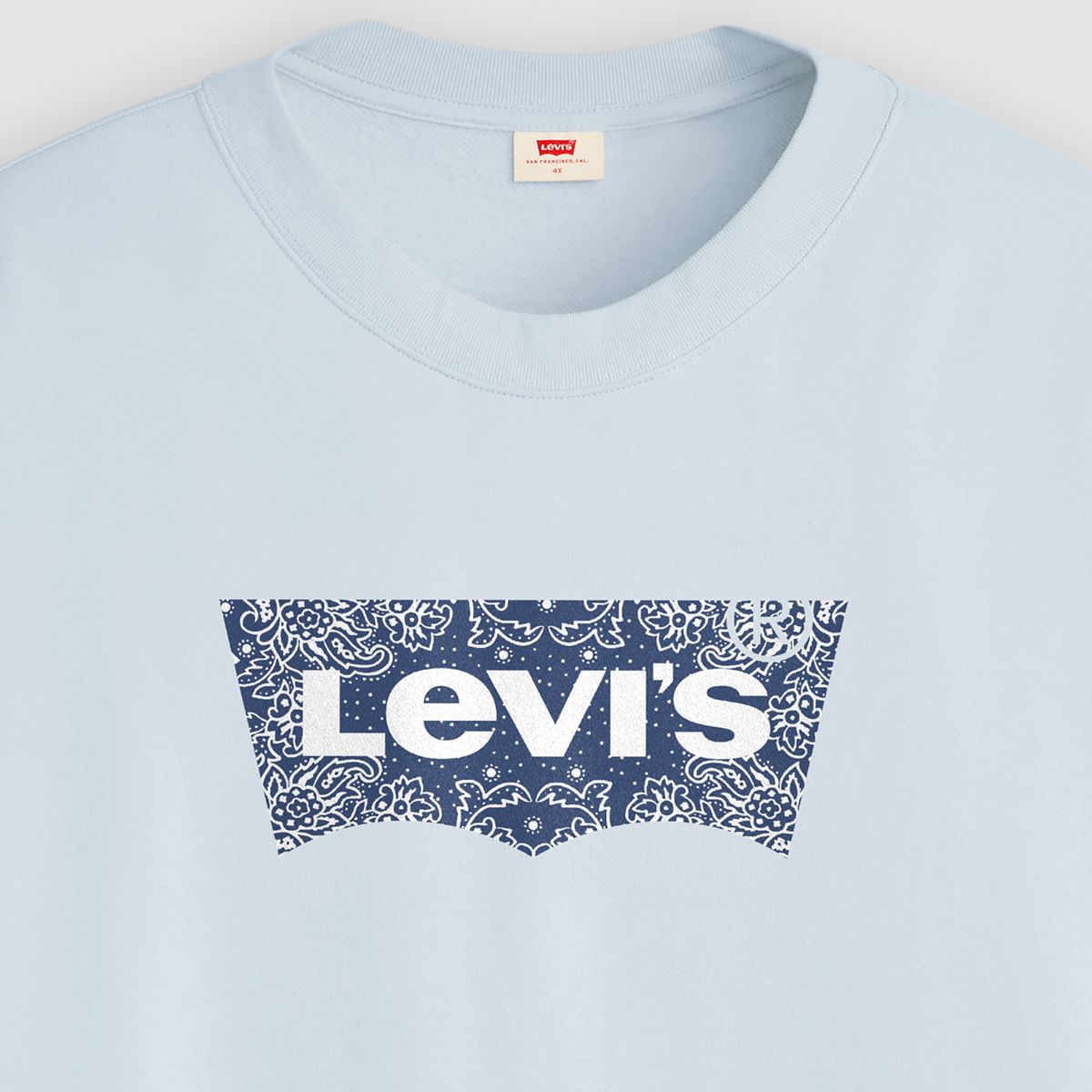 Graphic Logo Everyday Sweatshirt (Plus Size) — Plus Crew Bandana Fi - Blue