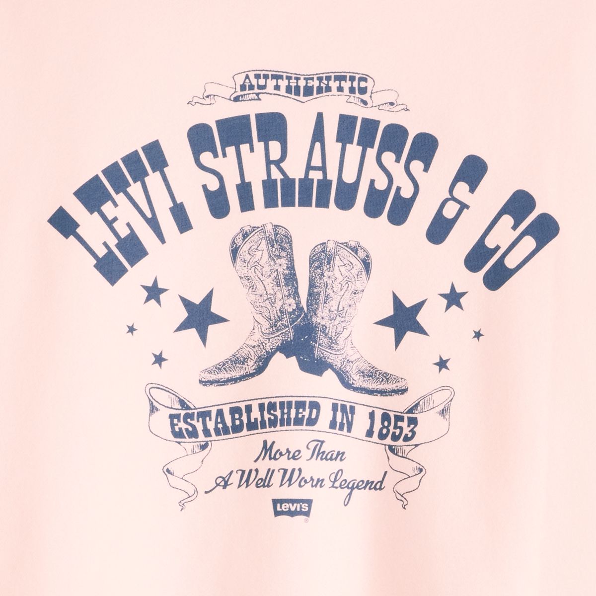 Graphic Logo Everyday Sweatshirt (Plus Size) — Plus Crew Boot Poste - Pink