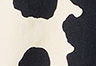 Cow Print Shrt Black White - Multicolore - Western Shirt Levi's® x Toy Story