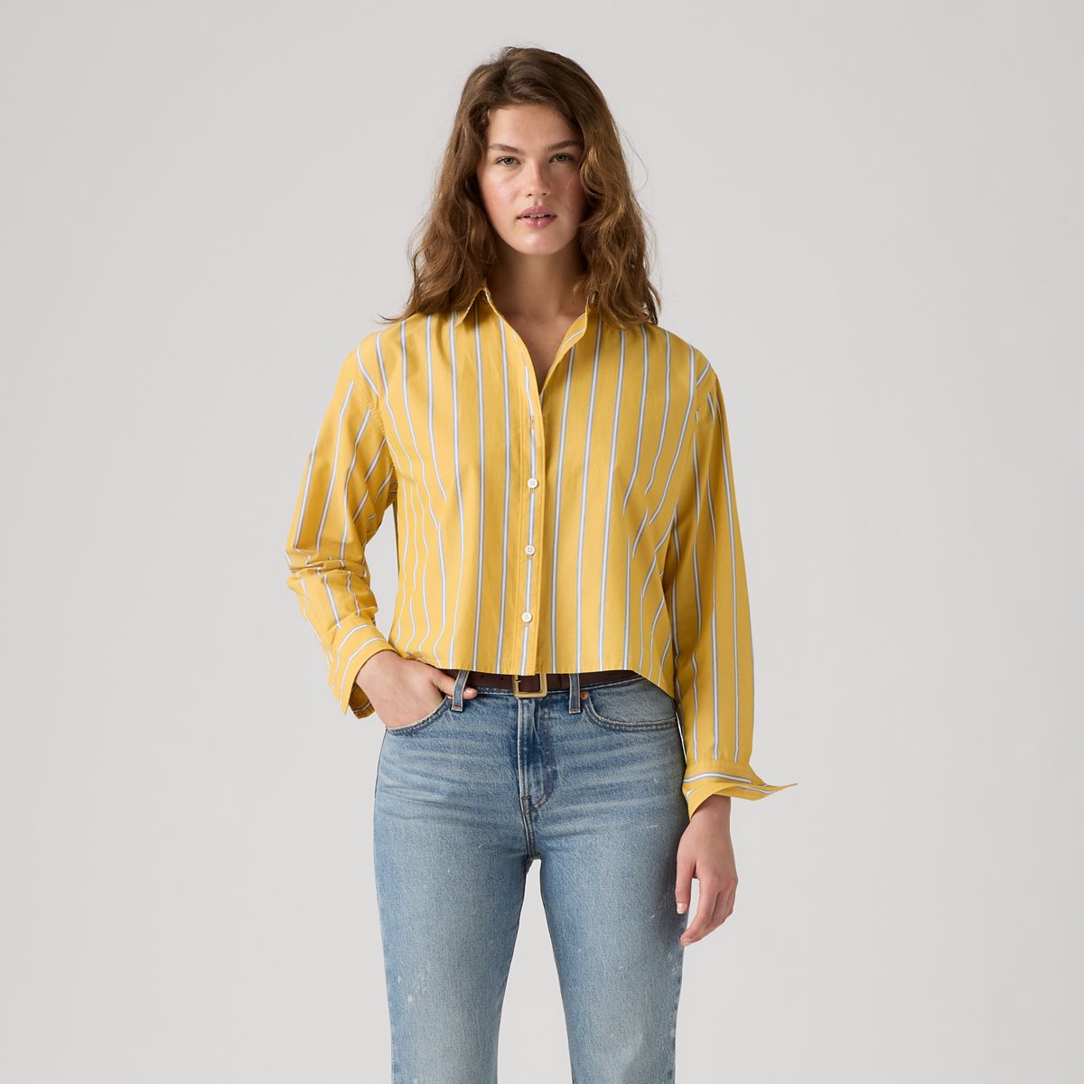 Harlie Cropped Button Down Shirt — Anouk Stripe Spicy Mustard - Yellow