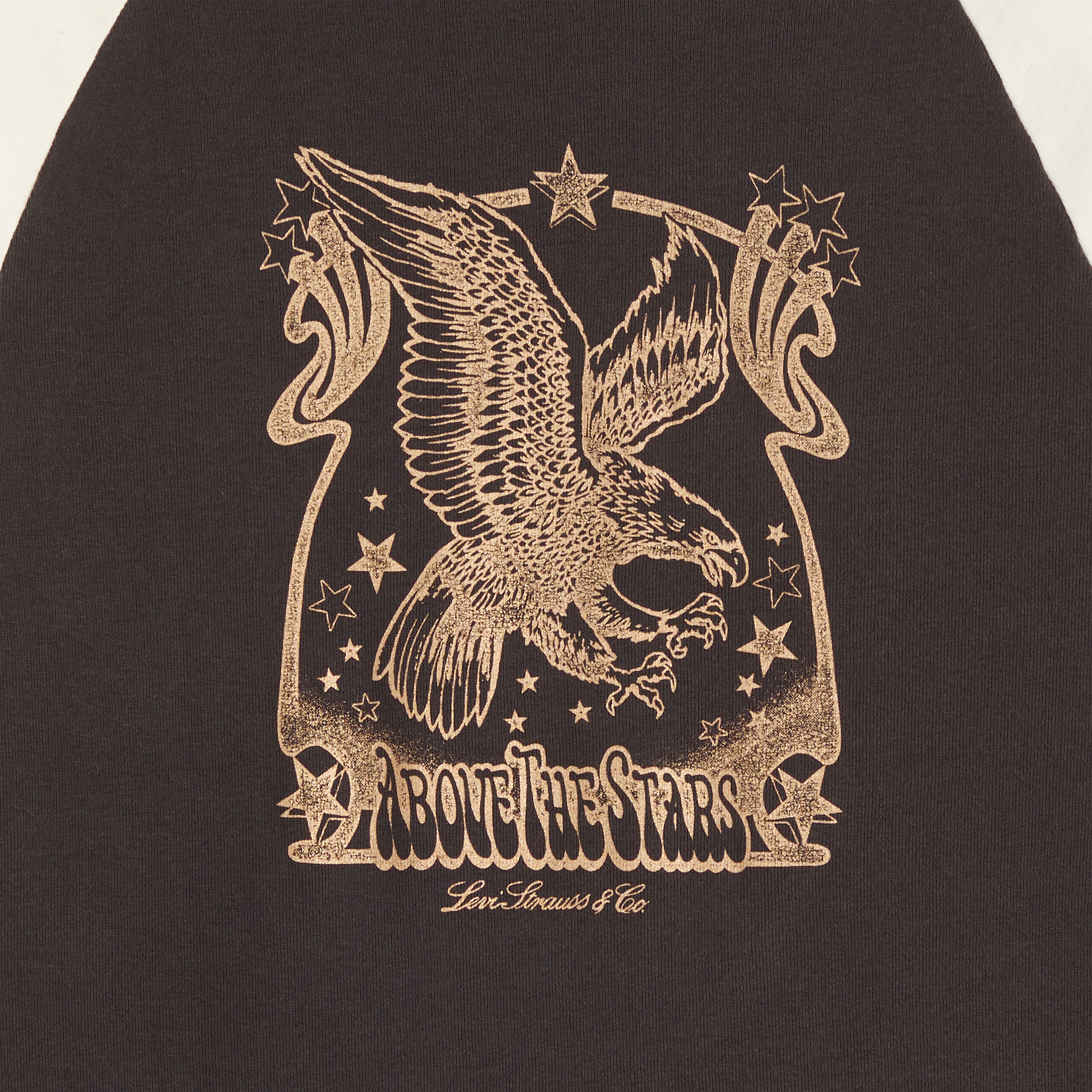 Graphic Logo Essential Raglan Long-Sleeve T-Shirt 6