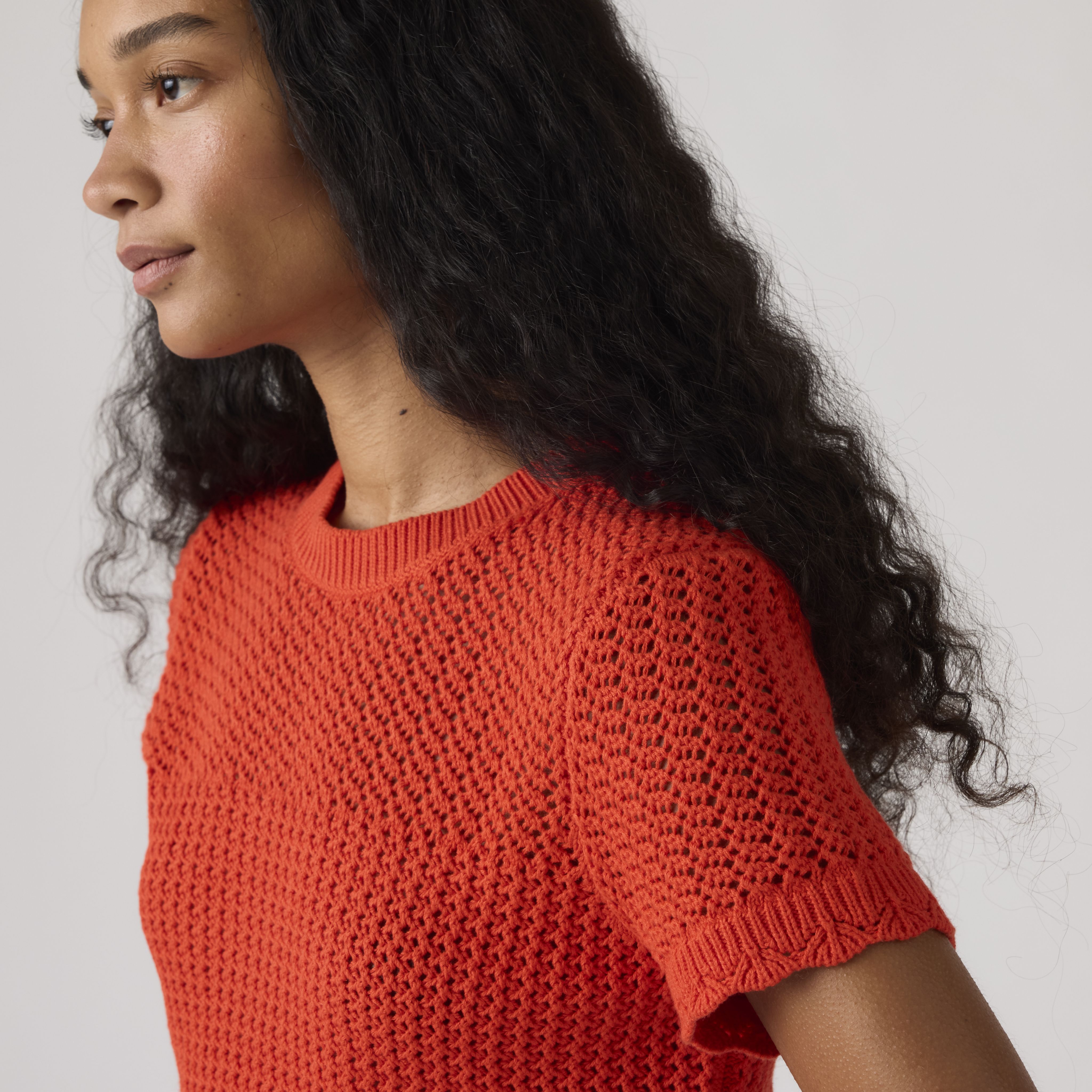 Isabelle Crochet Short Sleeve Sweater 2