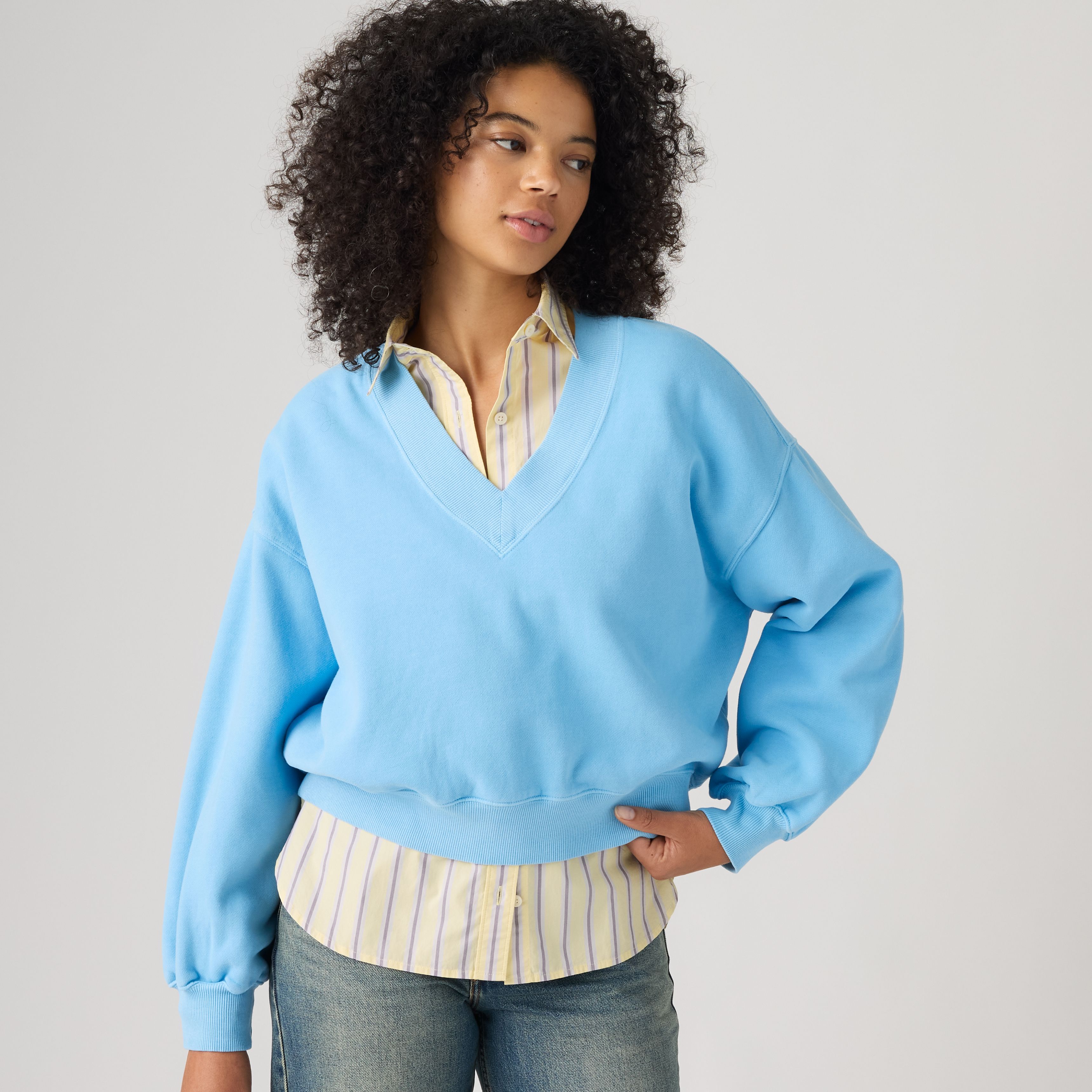 Vintage V-Neck Sweatshirt 1