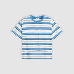 Vintage Garment Dye Short-Sleeve Tee — Vida Stripe Egret - Multi-Color 5