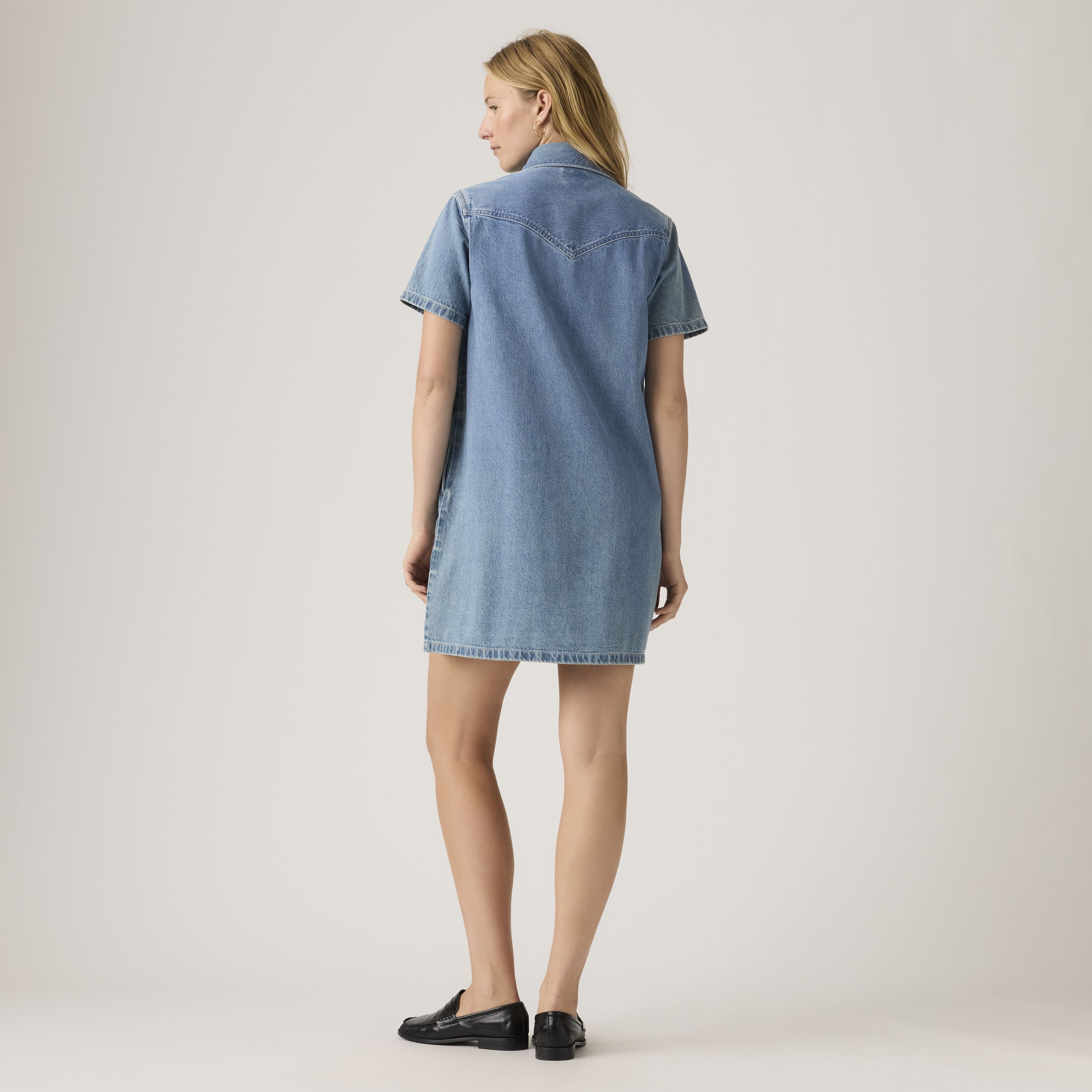 Louisa Short-Sleeve Denim Dress 4