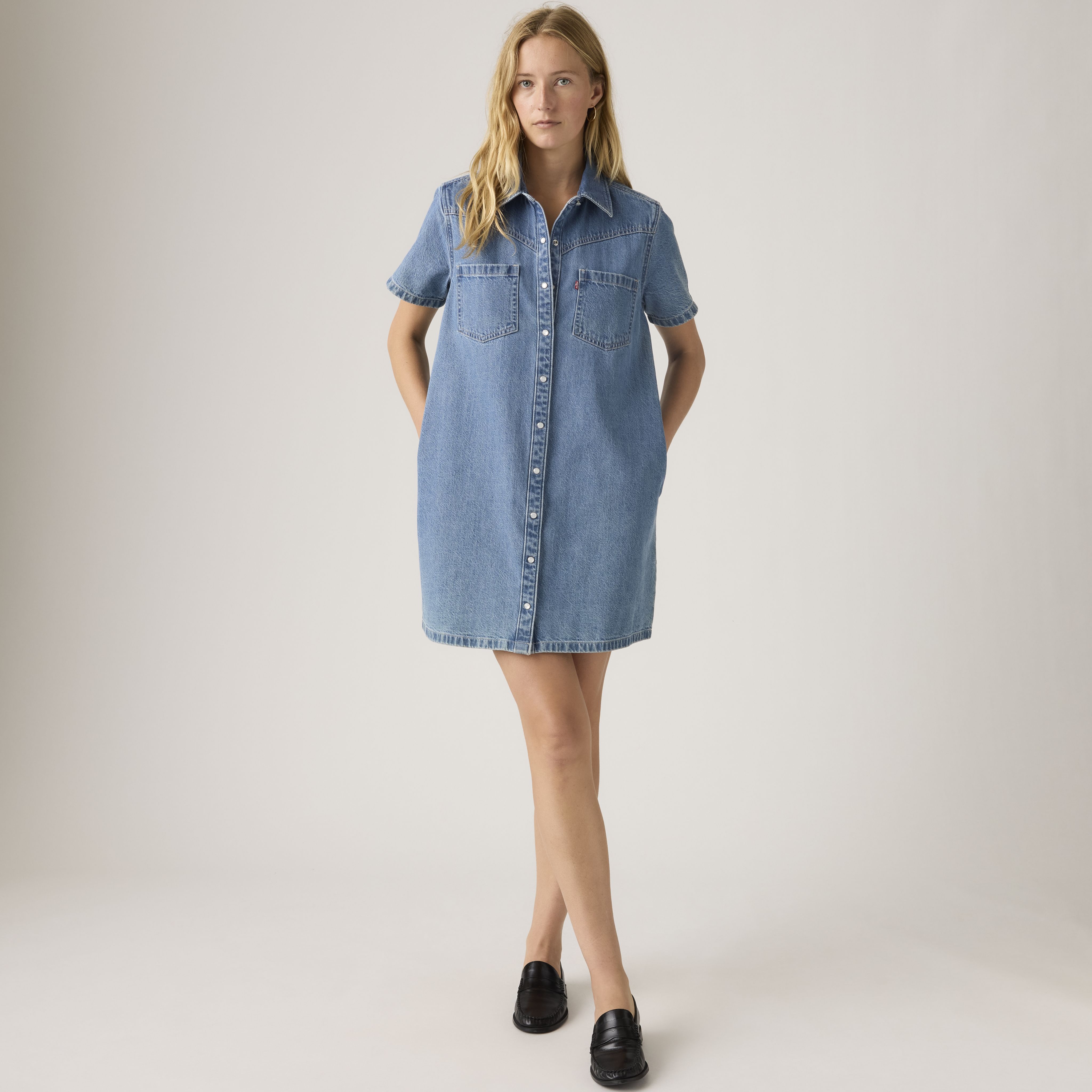 Louisa Short-Sleeve Denim Dress 4