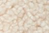 White Swan - Bianco