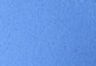 Delft - Blue