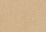 Canvas Kelp Gd - Beige