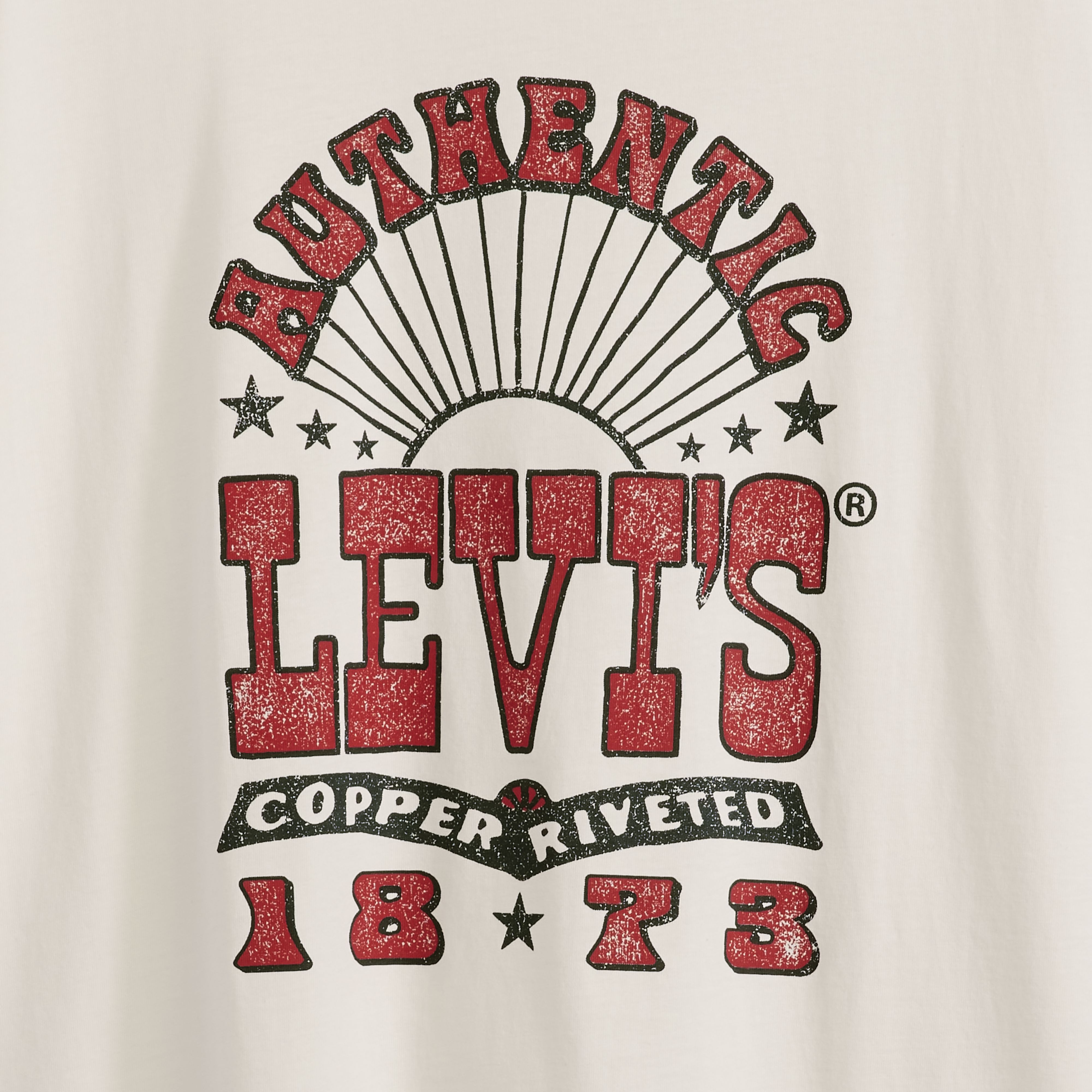 The Perfect Tee (Plus) 6