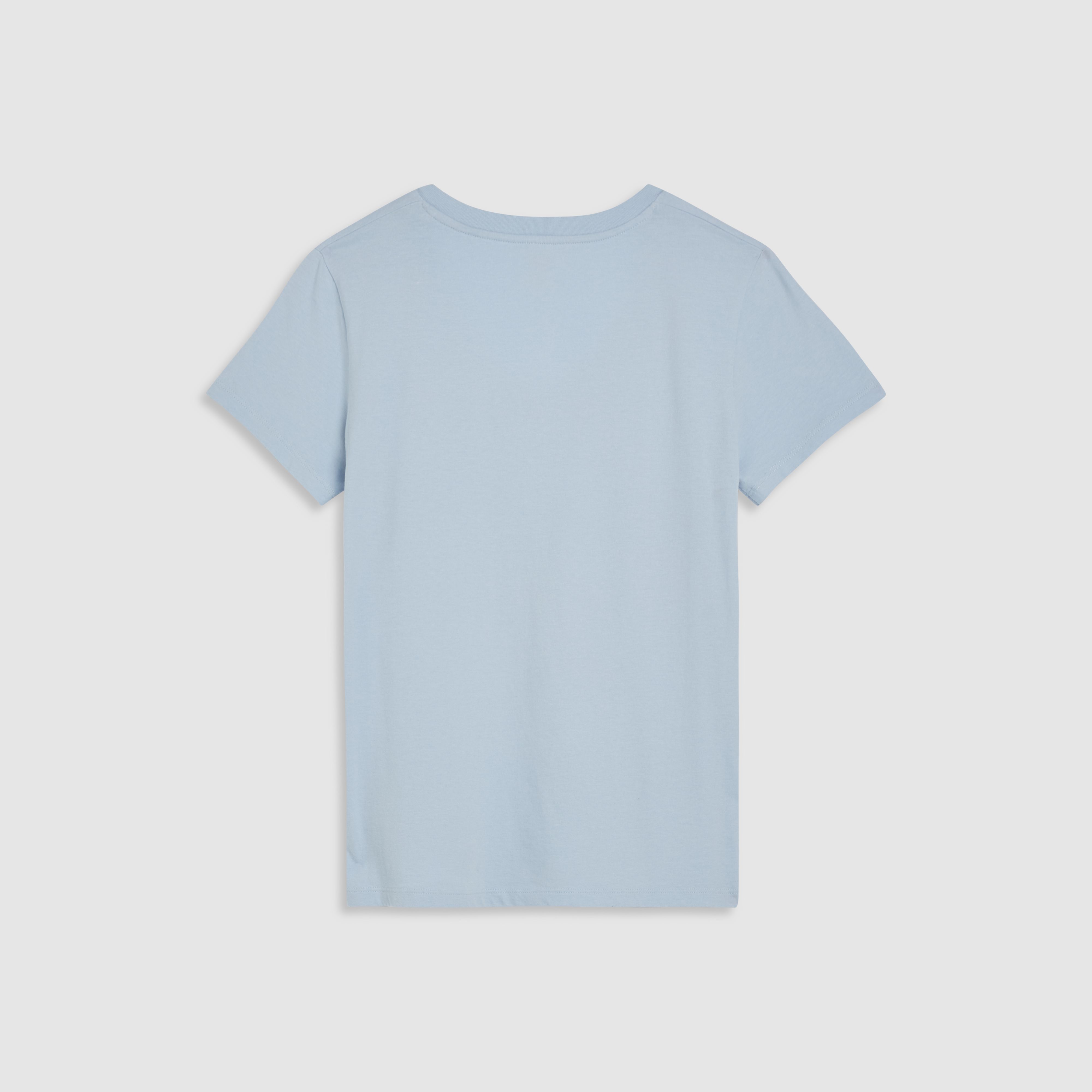 Perfect V-Neck T-Shirt 6