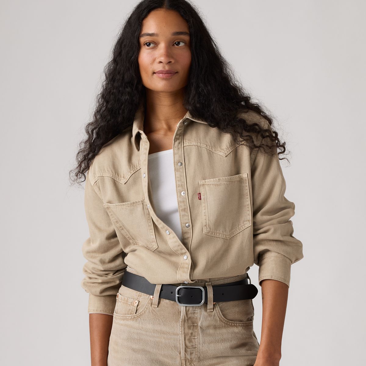 Teodora Western Shirt — Chipped Winter Twig Wst - Beige