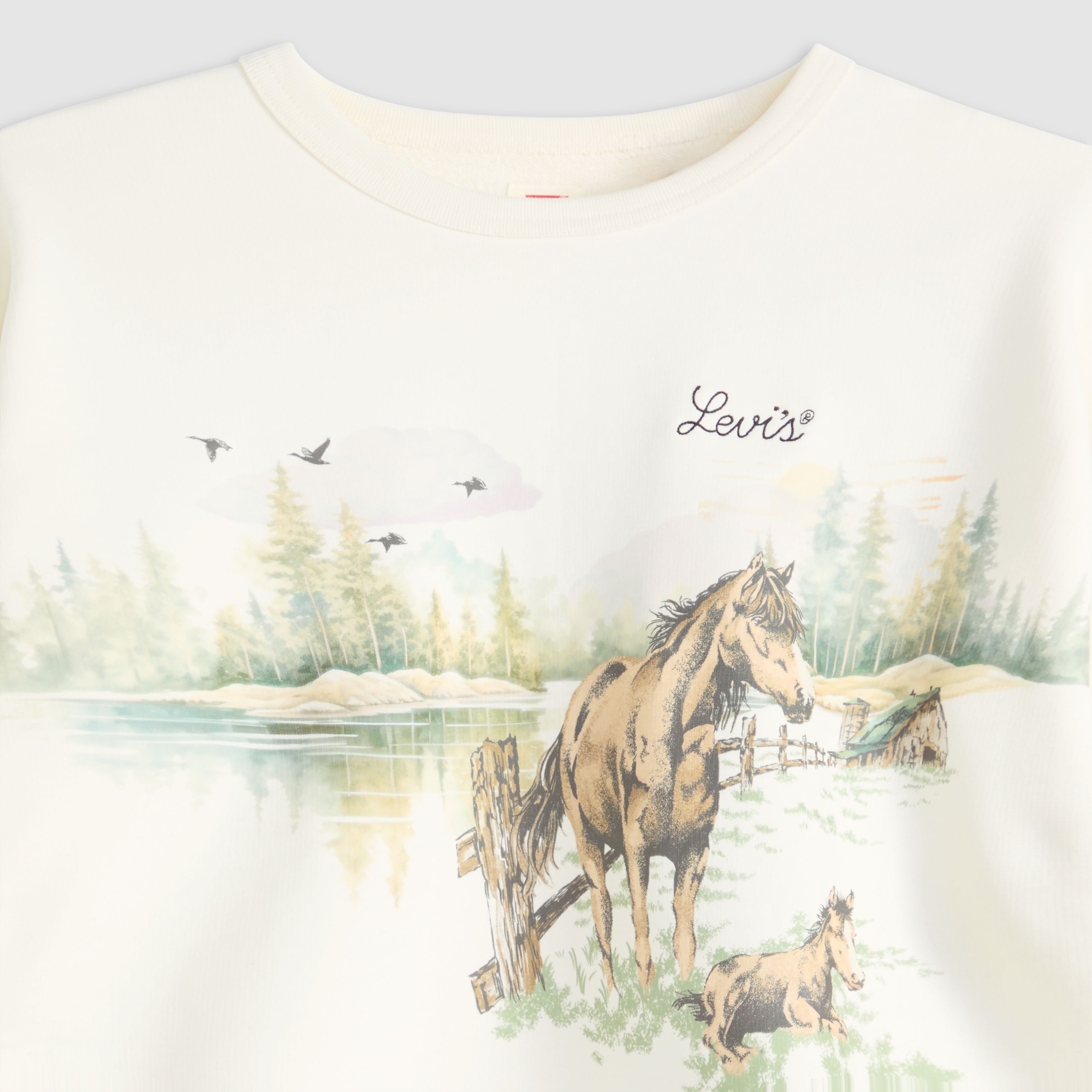 Graphic Heritage Crew Sweatshirt 6