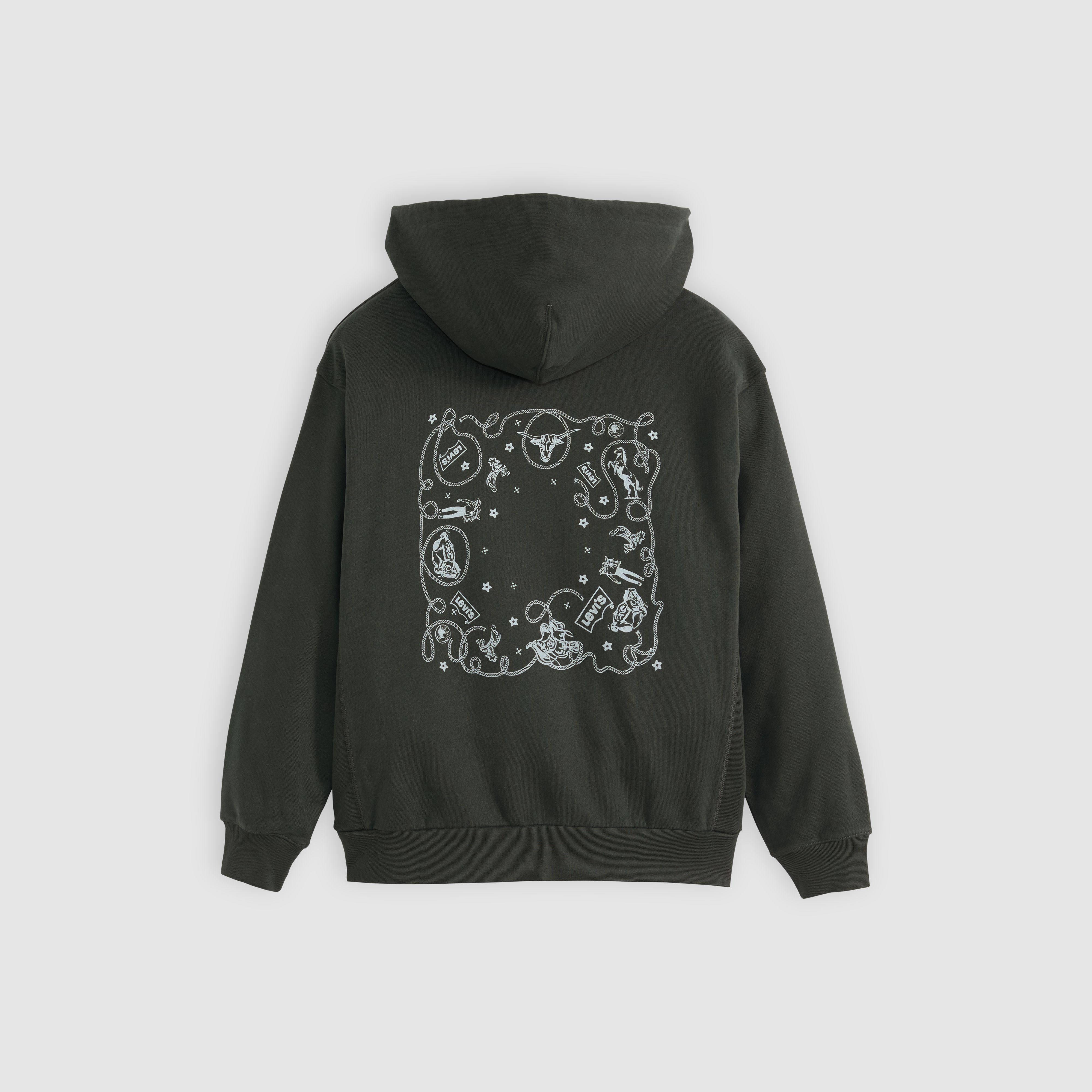 Graphic Heritage Hoodie 6
