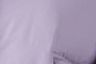 Heirloom Lilac - Purple