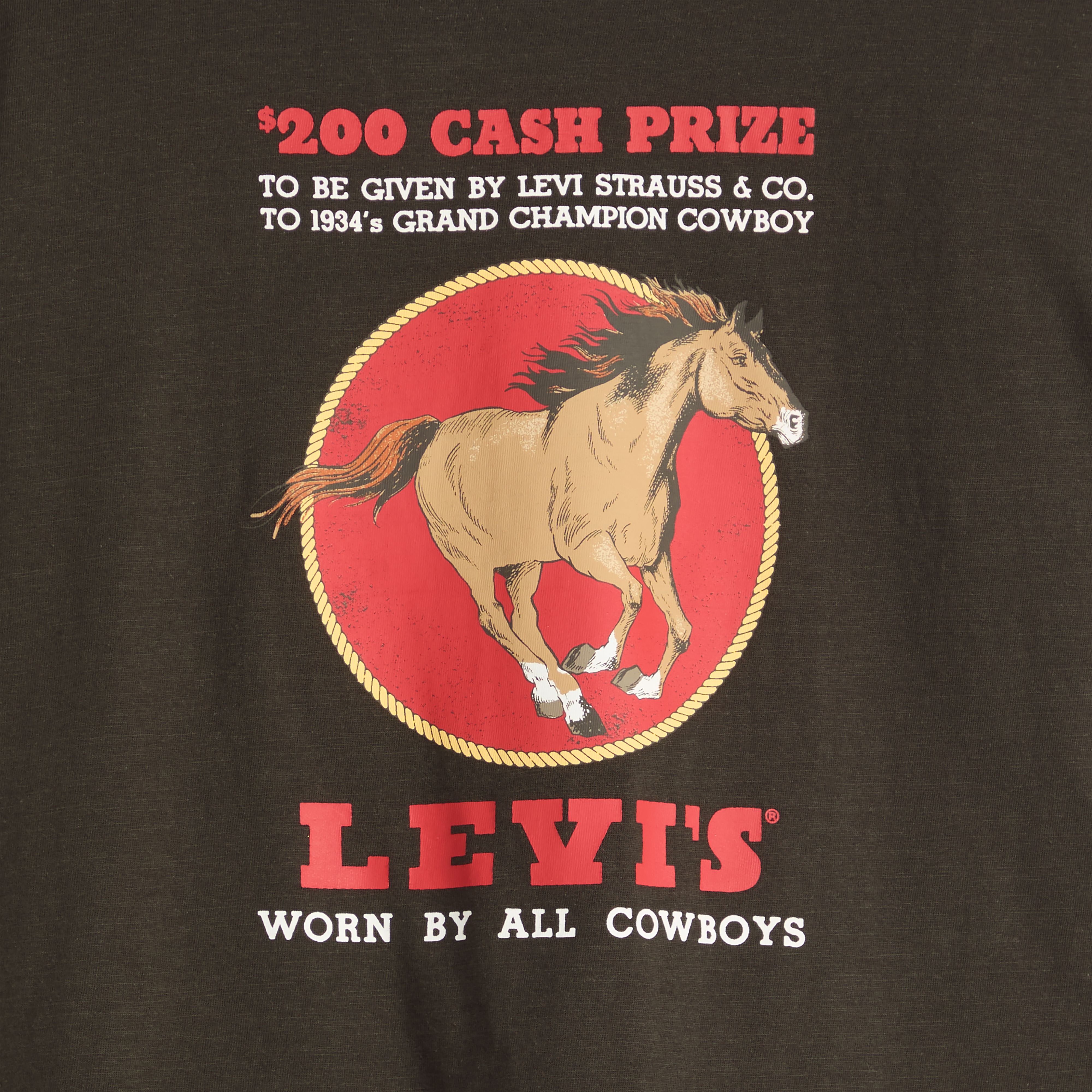 Camiseta Graphic Boxy 6