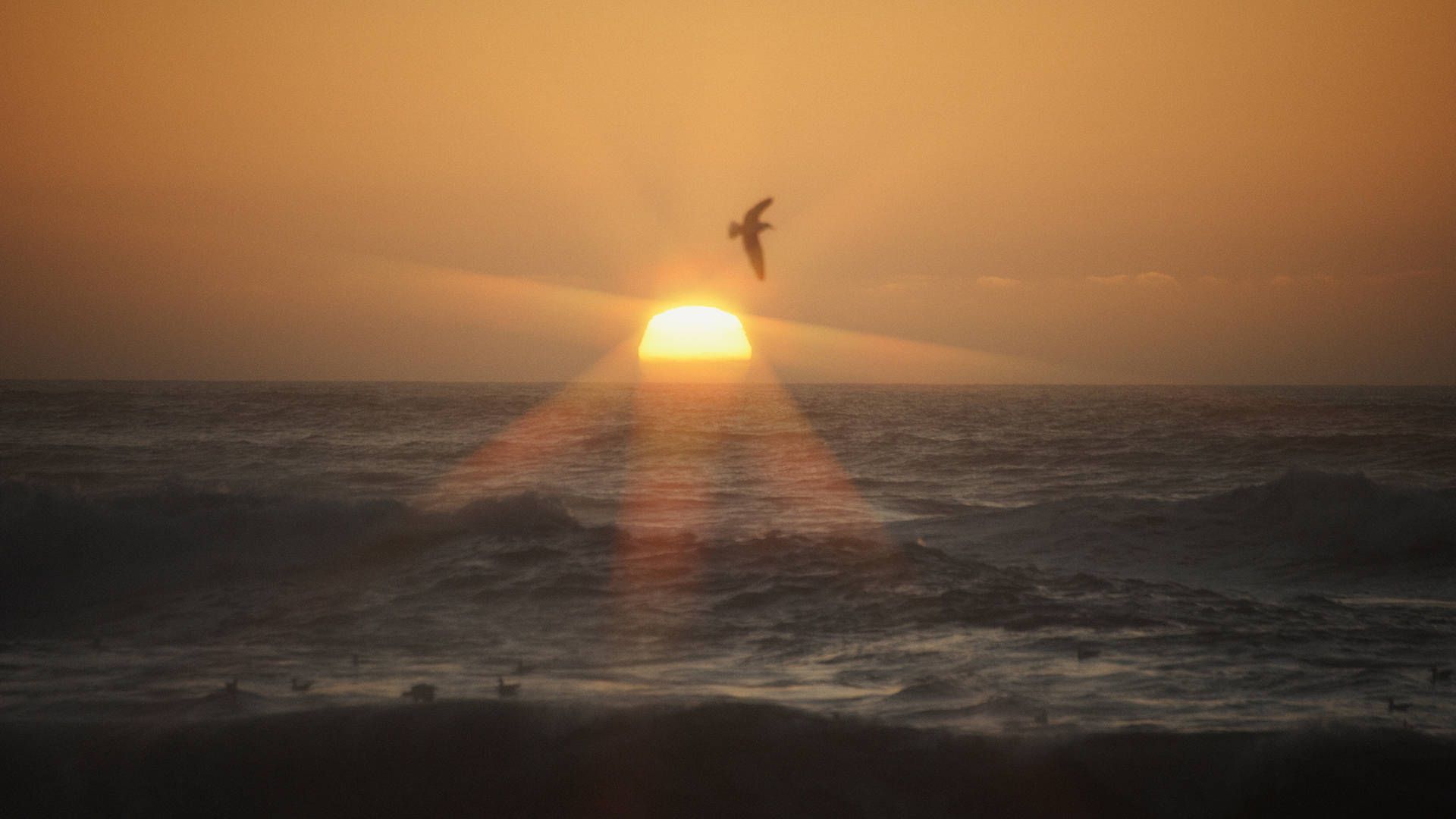 sunset